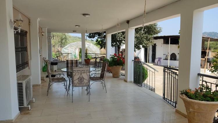 Mallios Country House Near Ancient Olympia ภายนอก รูปภาพ