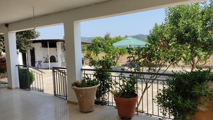 Mallios Country House Near Ancient Olympia ภายนอก รูปภาพ