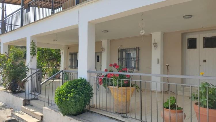 Mallios Country House Near Ancient Olympia ภายนอก รูปภาพ